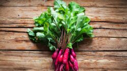 Recetas con hojas de remolacha: cocina sin desperdicio