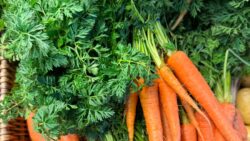 Recetas con hojas de zanahoria: recetas sostenibles y sabrosas