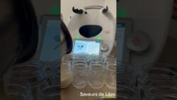 ￼Yaourt la laitière au thermomix 🥛🥛#thermomix #duet #reel #pourtoi #thermomix #shortvideo