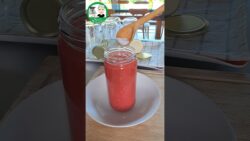 🍅 CONSERVA DE TOMATE TRITURADO PARA TODO EL AÑO 🍅 RECETA COMPLETA con Thermomix®  #TM6 #TM7  🔝