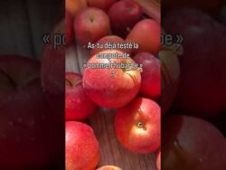 Compote pomme/rhubarbe