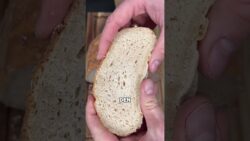 High Protein Brot mit nur 3 Zutaten und 86g  Eiweiß 💪🏼