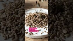 Knusprige Protein-Körnerstangen mit nur 5 Zutaten – Perfekt für Mealprep | Thermomix® Rezept