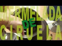 Mermelada Thermomix | El Método Más Fácil del Mundo