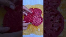 Pastel de tomate SIN HARINAS
