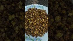 Protein Rich Air Fryer Snack |💪 Chana Joor Garam Recipe#shortsrecipe #chanajoorgaram #chatpatachana