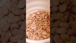 🥜花生醬 Peanut Butter｜香濃滑順・無添加健康抹醬｜Thermomix｜#shorts