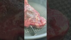 Cooking Steak with Thermomix® Sensor