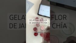 Gelatina de flor de Jamaica y chía 😋