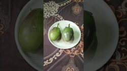 Air fry recipe…… #food #ytshorts #song #shorts