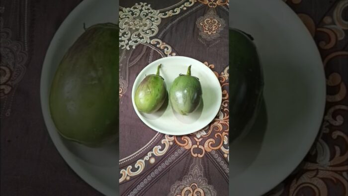 Air fry recipe…… #food #ytshorts #song #shorts