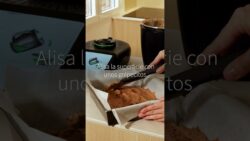 Brownie rápido