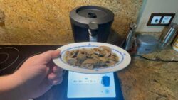 Champiñones al ajillo en thermomix tm7