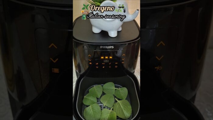 Homemade oregano Recipe #oregano #italianfood #youtubeshorts #trending