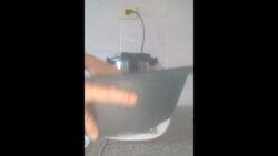 Mejillones al vino, fácil y rico con Thermomix
