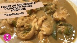 ⭐️POULET AU GINGEMBRE AU THERMOMIX ET MONSIEUR CUISINE–RECETTE CHINOISE RAPIDE ET FACILE !