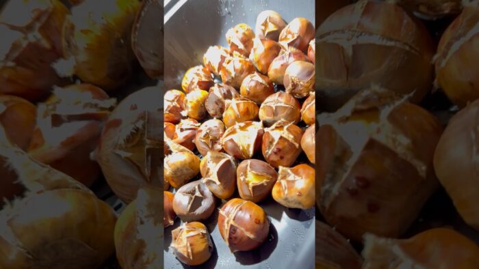 🌰 Sıcacık Kestane Thermomix’te | Heissi Marroni im Thermomix |