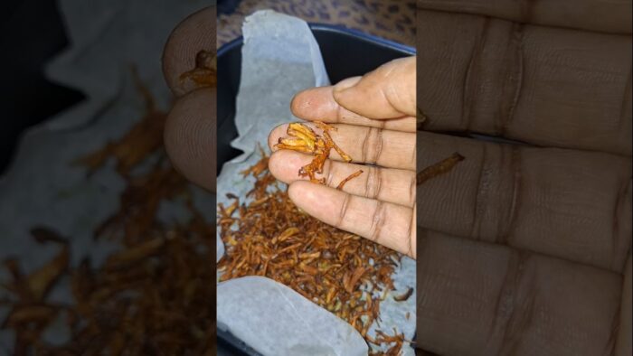 তেল ছাড়া কুড়মুড়ে ঝুড়ি আলু ভাজলাম এয়ার ফ্রায়ারে 😋#food #ytshorts  #bangalirecipes #airfryer