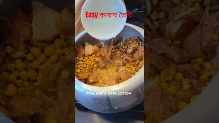 এভাবেও তেল ছাড়া কাবাব তৈরি করা যায়? #Airfryer #tqiu