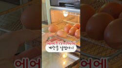 스팀에어프라이어로 이것도 된다고?