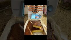 👉 Coca de llanda de naranja en Thermomix 🍊 | Esponjosa y casera Comenta “COCA” y te paso la receta