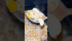 Creamy macaroni in air fryer #shorts #macaroni #pasta #airfryerrecipes