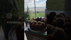 Fındıklı Bitter çikolatalı kek