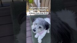 Golosinas de plátano para perros hechas en freidora de aire