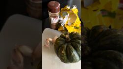 I made Pumpkin Soup #soup #livingalone #pumpkin #calm #thermomix #easyrecipe #winter