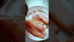 No sabes cuanto tiempo dejar los pescados en la freidora de Aire?