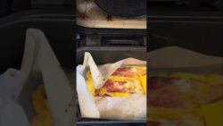 The Egg Thing! Part 1- Quick Carnivore Breakfast Burrito Recipe in Ninja Air Fryer