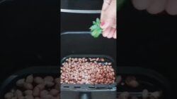 #airfryer #cookingtutorials #recipe #shorts #youtubeshorts #video #newvideo