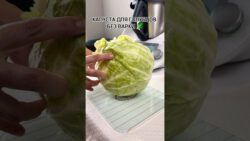 Голубцы без драмы: магия Thermomix