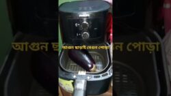 আগুন ছাড়াই বেগুন পোড়ানো 😱/Air Fryer Brinjal Roast /১০ মিনিটে  #shorts #airfryer
