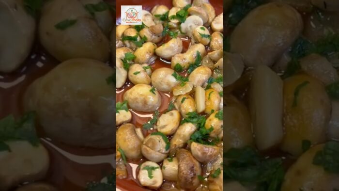 10 RECETAS en la FREIDORA de AIRE👩‍🍳 PARTE 3🥰 , aprende a sacarle todo el partido a tu airfryer 📌😉