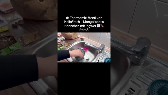 🍽️ Thermomix Menü von HelloFresh – Mongolisches Hähnchen mit Ingwer 👨‍👩‍👧‍👦🍗 Part 8