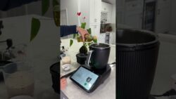 No vuelvas a dañar el arroz 👀 #thermomix #cocinafacil #receta