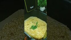 sev murmura snacks recipe in Air Fryer #reel #food #recipe #cooking #yt.