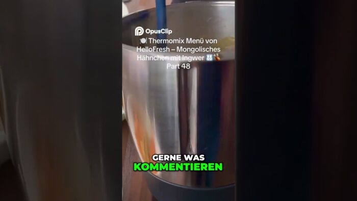 🍽️ Thermomix Menü von HelloFresh – Mongolisches Hähnchen mit Ingwer 👨‍👩‍👧‍👦🍗 Part 48