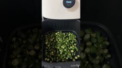 Airfryer lo bendi fry #airfryer #receipes #airfryerrecipes
