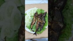 BIKIN IKAN BAKAR PAKAI AIR FRYER BISA SEENAK INI. COBAIN!!! #ikanbakar #airfryer #bakar #shorts