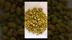 Crispy Green Gold|crispy 24g protein green crunch| crispy Edamame beans#shorts #edamame #airfryer