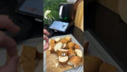 Faire de la chapelure au Thermomix Tm7 #food #chapelure ￼ #recettefacile #cuisine #thermomix