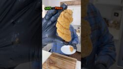 I Tried Bowers frozen catfish in the air fryer and now im trying it in the WORLD SMALLEST DEEP FRYER