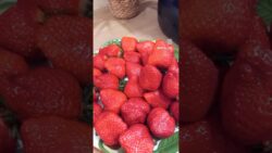Maduixes super netes al Thermomix #receta #postre