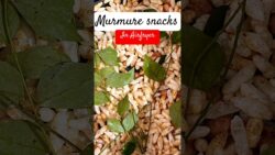 Murmure Snacks in Airfryer 🍿#airfryer #airfryerrecipes #snacks #snacksrecipe #cooking #recipe