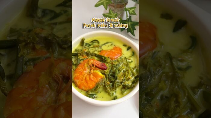 Ramadan 18: MASAK LEMAK PUCUK PAKU & UDANG THERMOMIX