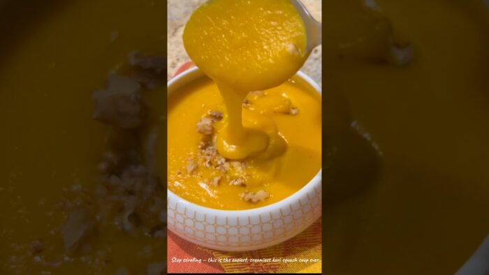 This Thermomix Kuri Squash Soup Is INSANE 😳 #thermomix #soup #shorts #easyrecipes