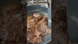 Versatile Mushroom Paste #thermomix #mushroomrecipes #cookingexperience #mushroomsoup #tm7