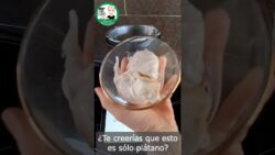 El truco del HELADO MÁS FÁCIL del mundo 🌍🍌 con Thermomix TM7